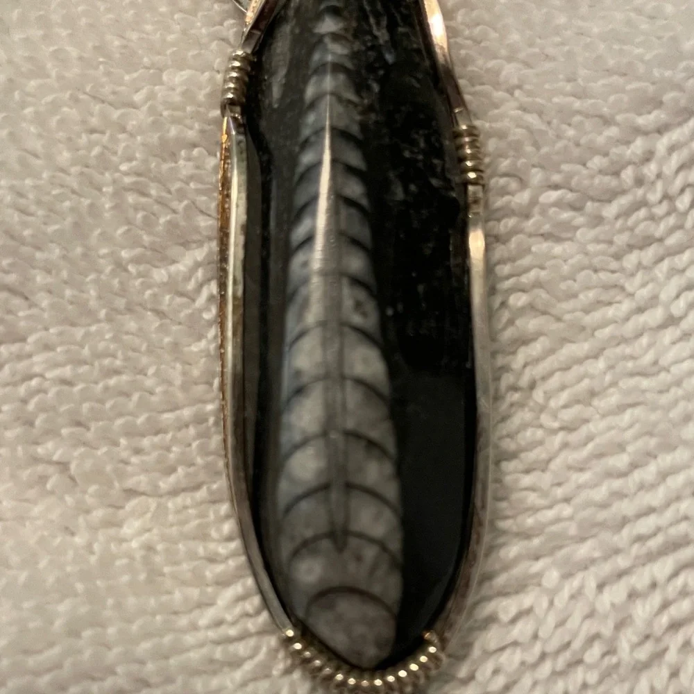 Silver Wire Wrapped Fossil Pendant - Picture 3 of 4